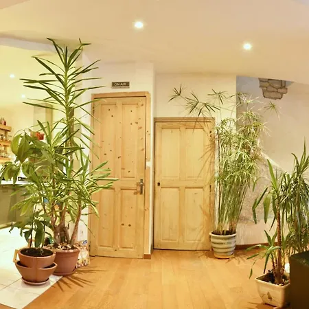 Chaleureuse Maison Nanceienne Holiday home